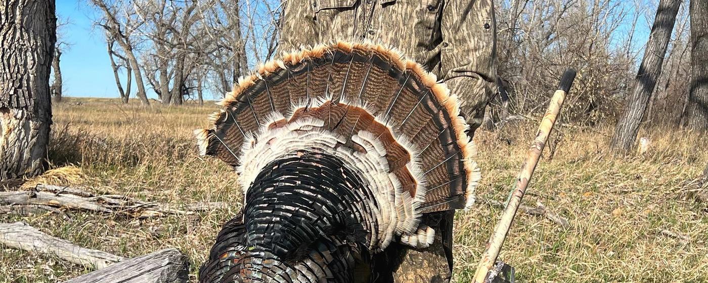 Hunter with Merriam's Wild Turkey in Montana