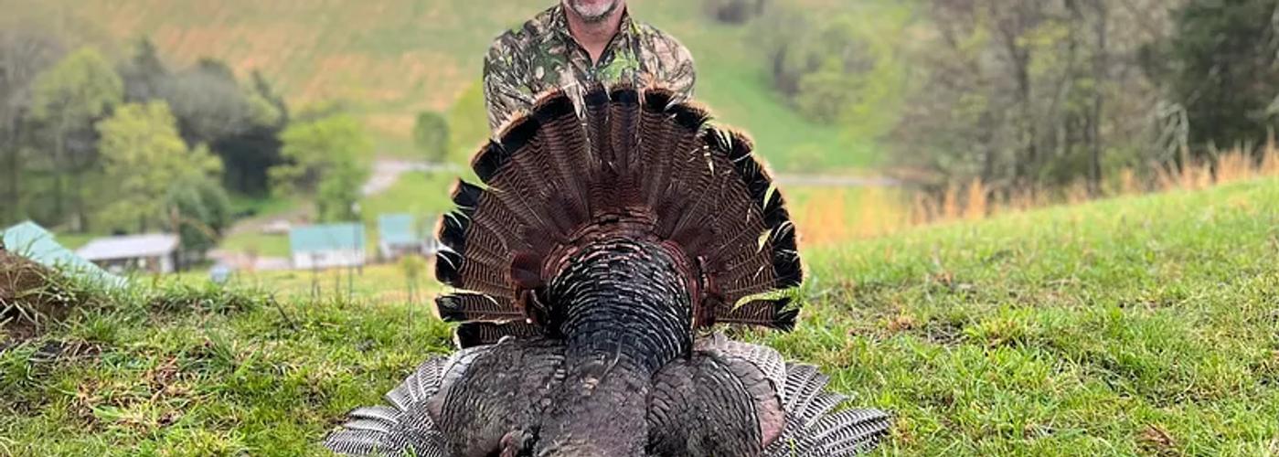 Turkey hunting in Tennessee hardwoods on private land.