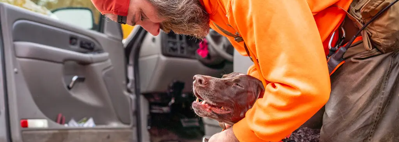 Hunting dog sitting beside hunter in a field during a guided hunt