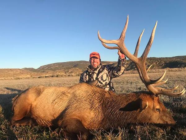Bull elk standing in the Colorado mountains during a guided elk hunt.