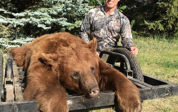 Alberta Bear hunt