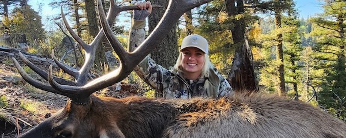 elk hunt