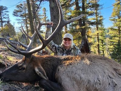 elk hunt