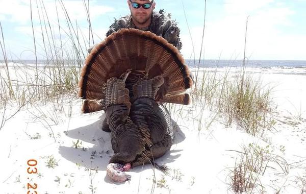 Eastern wild turkey during a guided Alabama turkey hunt.