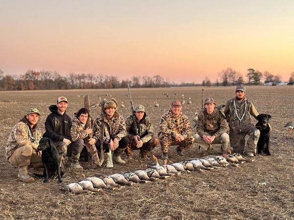 Hunters with geese during an Arkansas goose and duck hunt.
