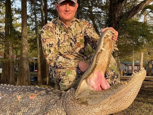 Gator