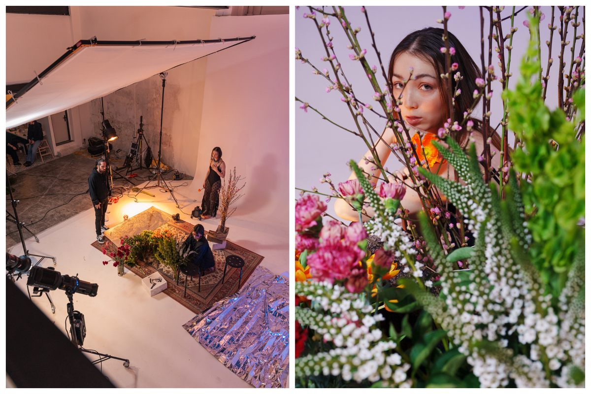 Setup VS results shooting photo fleurs