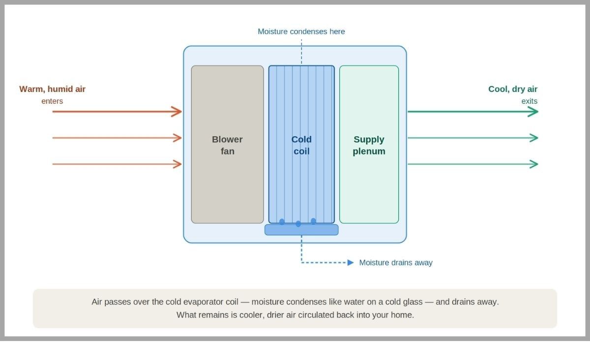 Diagram showing how AC removes humidity