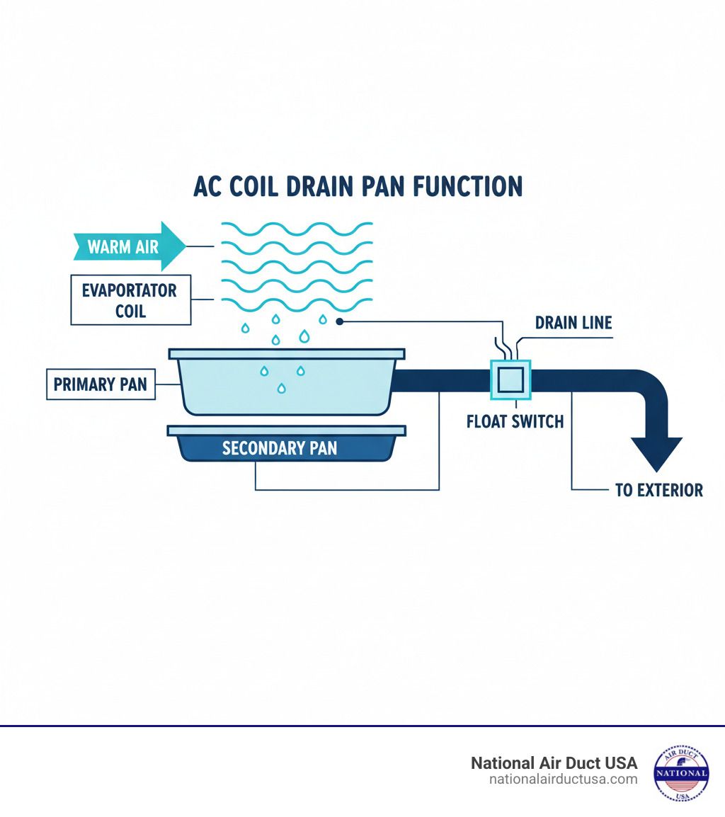 Diagram of an air handler showing the evaporator coil, drain pan, float switch, and condensate drain line. Include arrows showing the normal path water takes as it leaves the system.