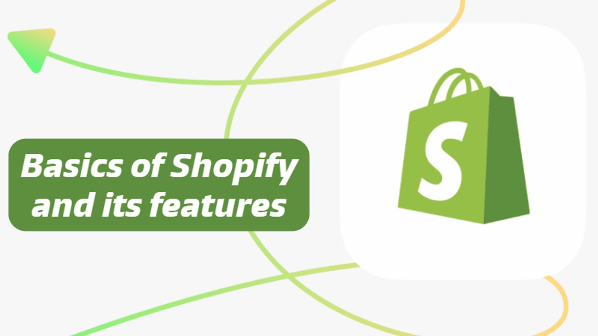 Basics of shopify and it's features