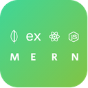 mern stack developer