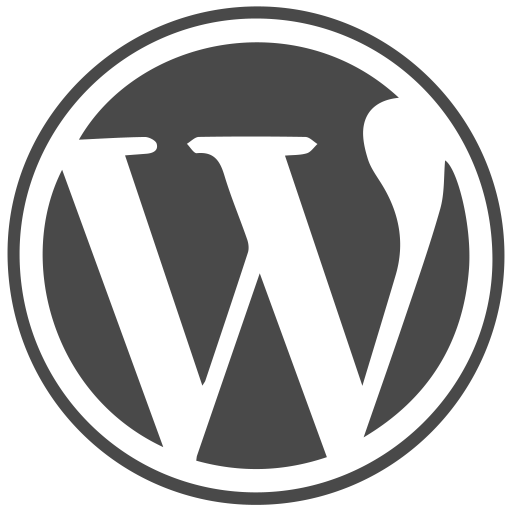 hire wordpress developer