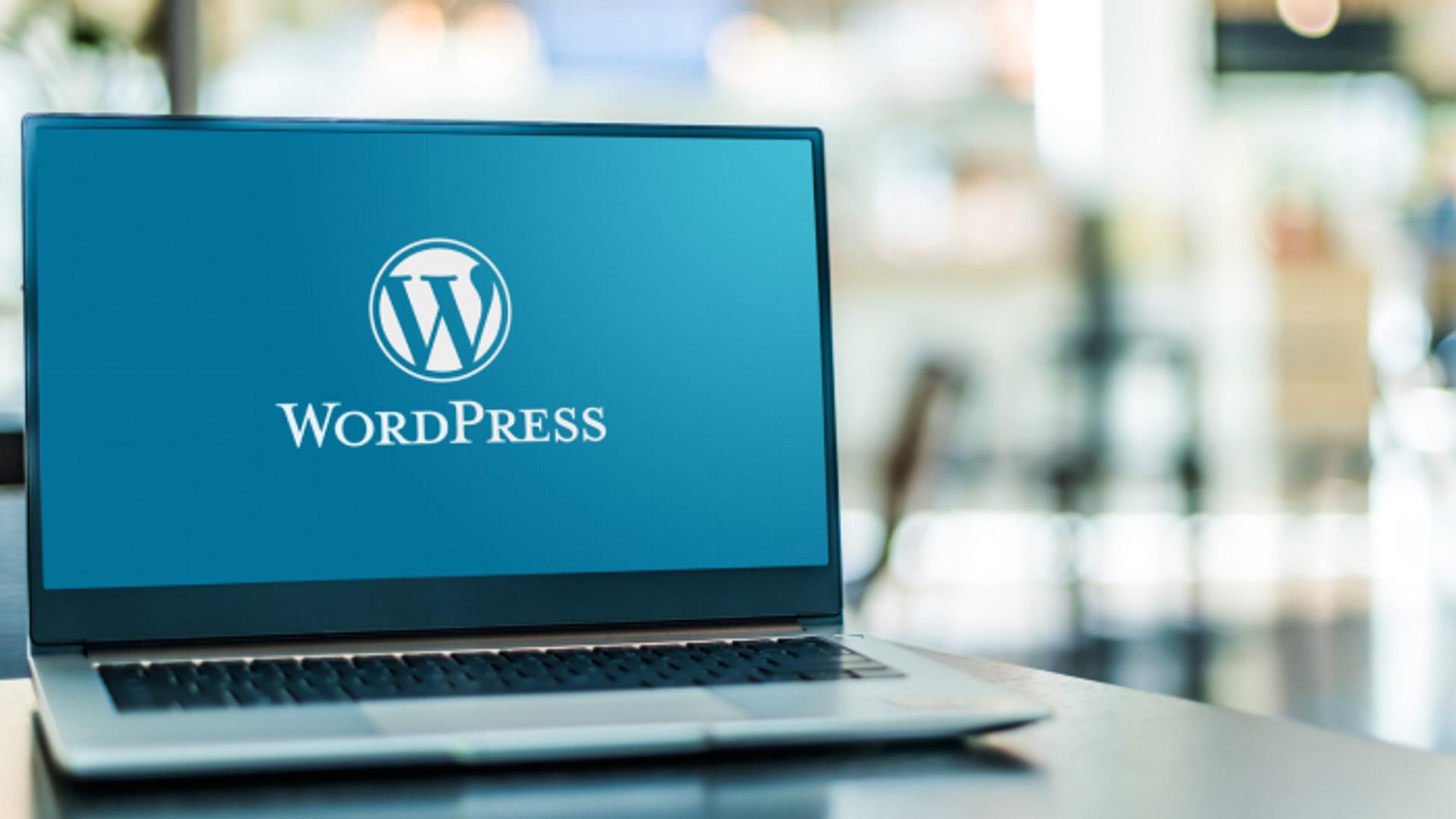 WordPress Development in 2024