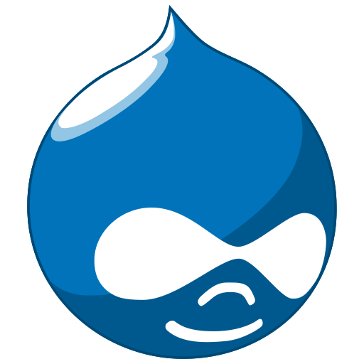 Hire Drupal developer