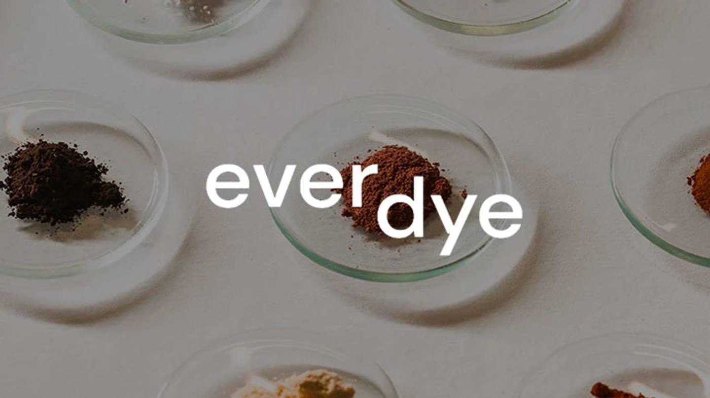 Pink House Studio for everdye