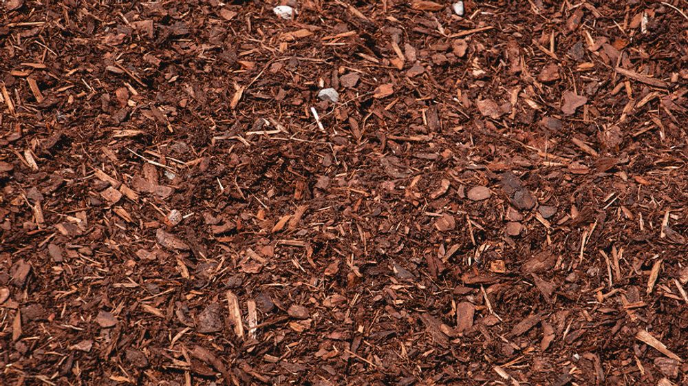 Moldy Mulch? Here's An Effective Way To Fix It