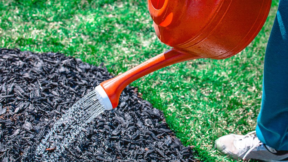 Moldy Mulch? Here's An Effective Way To Fix It
