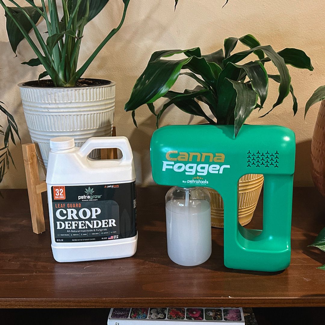 2. GET THE BEST COVERAGE!