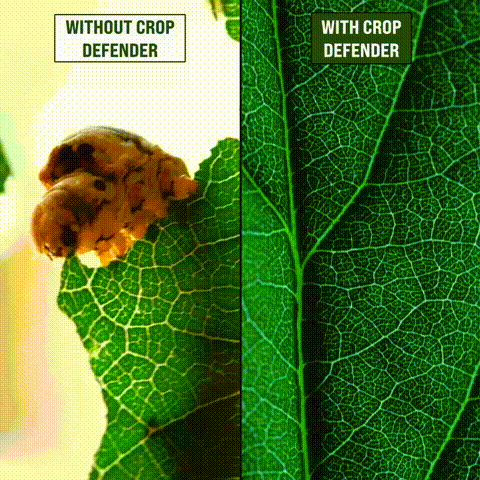 1. GET RID OF PESTS FASTER!