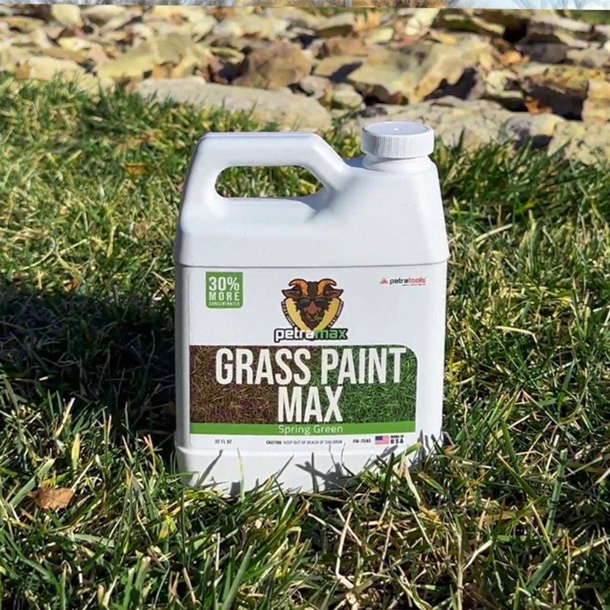 What's included with Spring Green Grass Paint? 