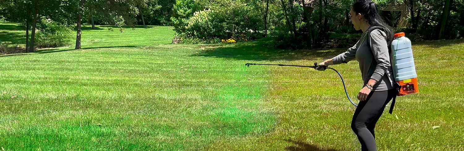 Grass Paint – Yes, It’s A Real Thing