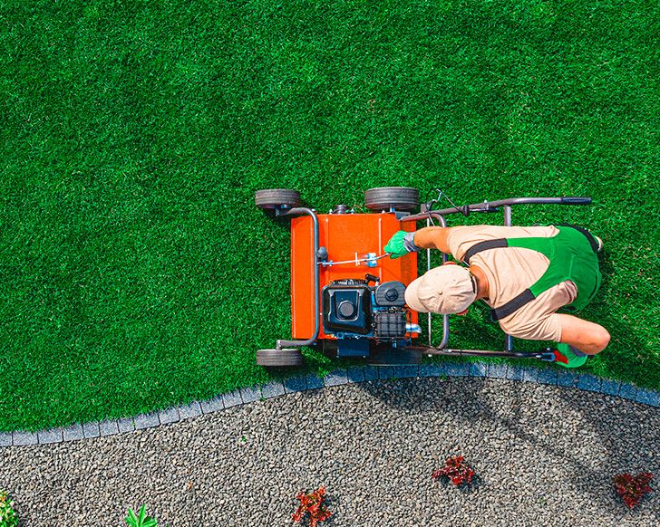 Is Lawn Aeration Necessary? (2024)