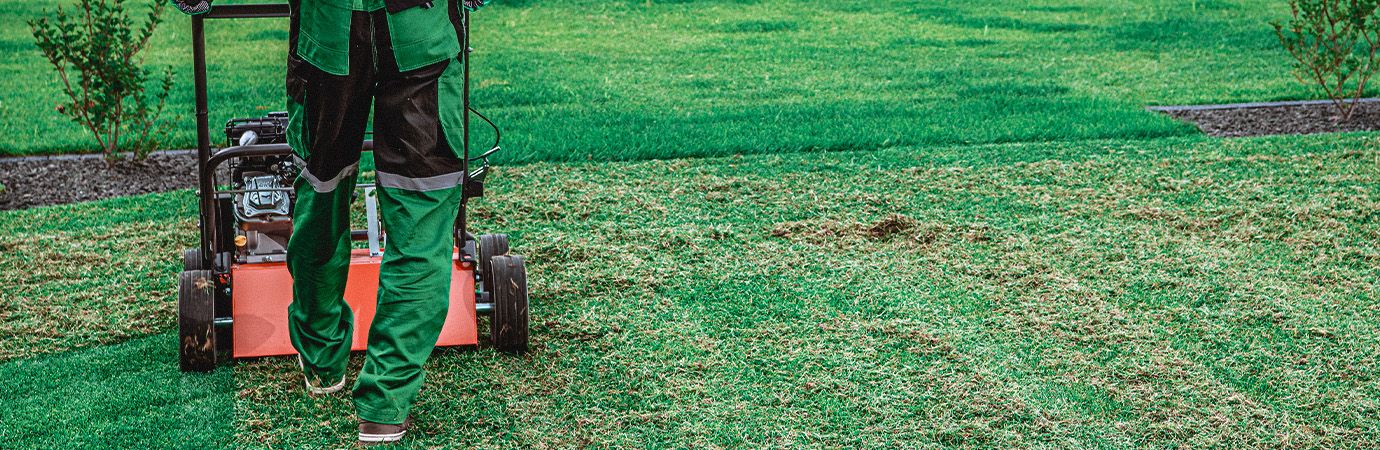 Dethatching Your Lawn: Preparation For The Winter Frost 