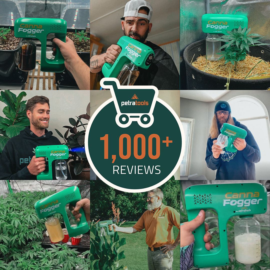 5. USE LESS, GET MORE - DAD DESERVES IT!