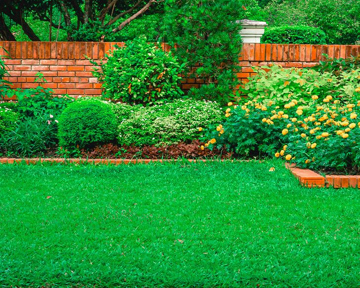 Revive Your Lawn: The Key to Lush Growth and Vibrant Color - Liquid Lawn Dethatching Explained 