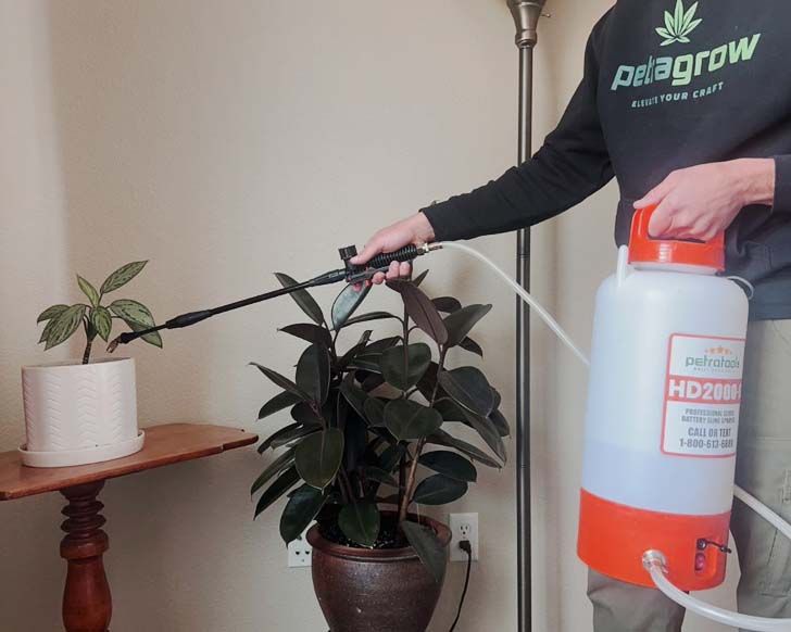 All-In-One Plant Fertilizer – Your One Stop Shop for Healthy Plants (2024)