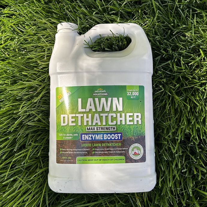 What's in Lawn Dethatcher?