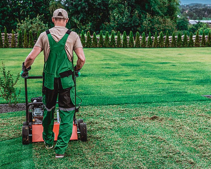 Dethatching Your Lawn: Preparation For The Winter Frost 