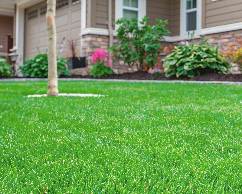 Achieve A Lush, Vibrant Green Lawn With Nitrogen Fertilizer (2024)