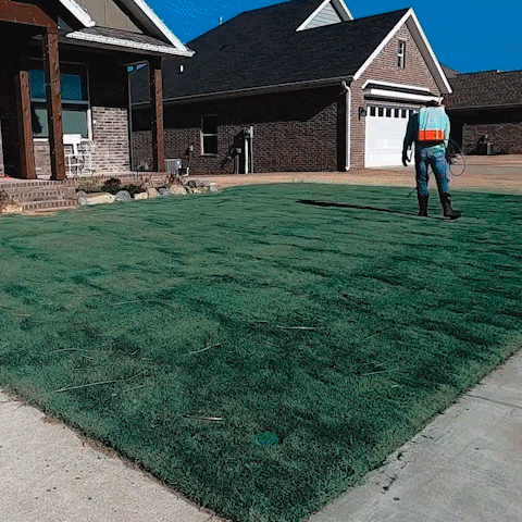 3. Get the Job Done Like a Pro Without ALL the Fees