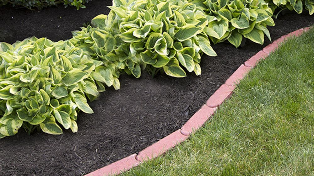 Mulch Glue Keep Your Landscape Beds Looking Great All Year Long