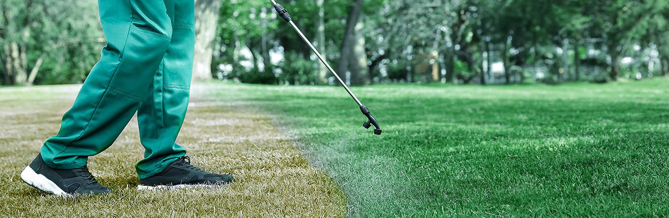 Grass Paint: Because Looking Good Means Feeling Good!