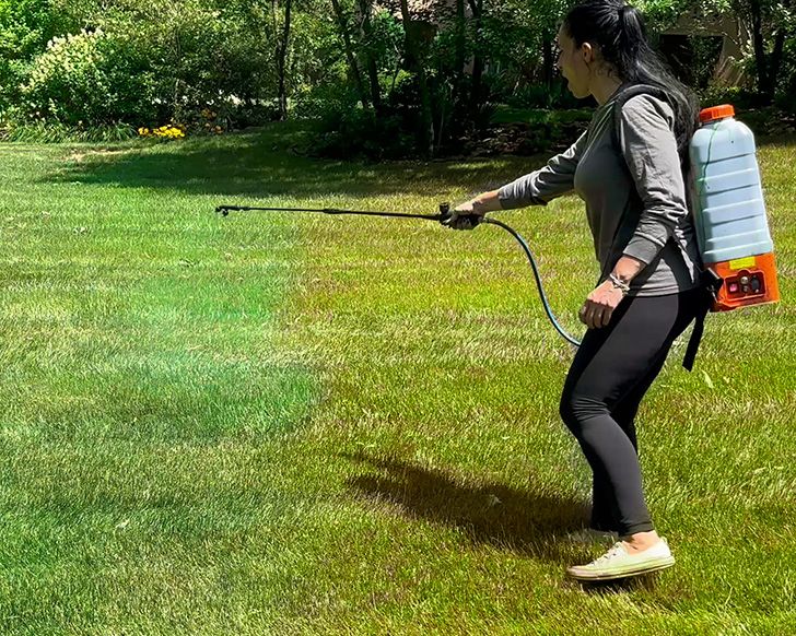 Grass Paint – Yes, It’s A Real Thing: Green Grass Lawn Spray for the Lawn of Your Dreams (2024)