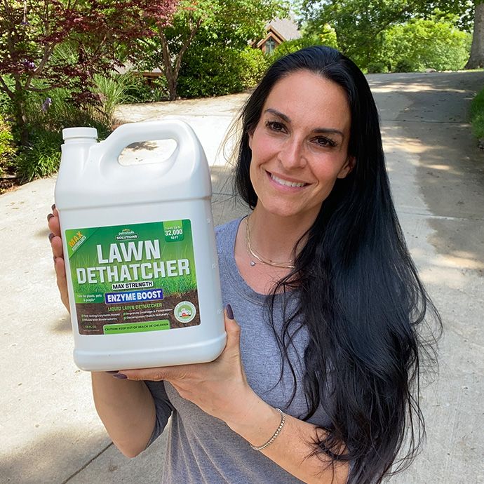 How does Lawn Dethatcher work?