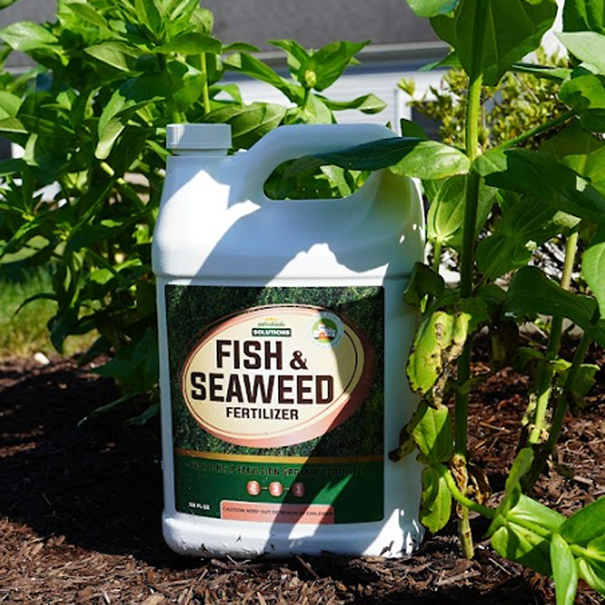 What's in Fish & Seaweed Fertilizer?