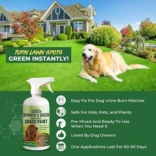 Why Does Dog Urine Turn Grass Green