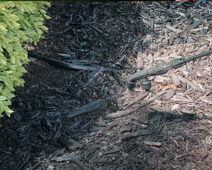 Mulch Dye for Beautiful Landscaping Beds Anytime (2024)