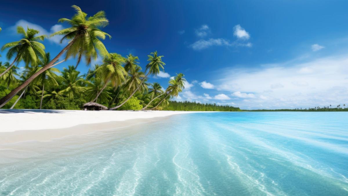 Explore the versatility of private transfer Dominican Republic. From Punta Cana’s beaches to the mountains of Jarabacoa, enjoy seamless, flexible