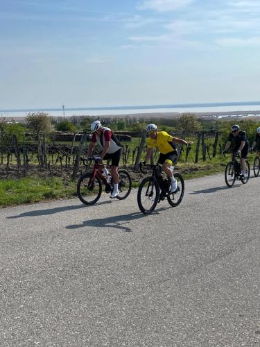 Neusiedlersee Radmarathon