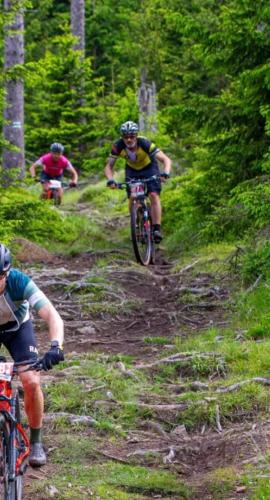 Mouflon Tracks 2024, 24.-26.5 - Polen