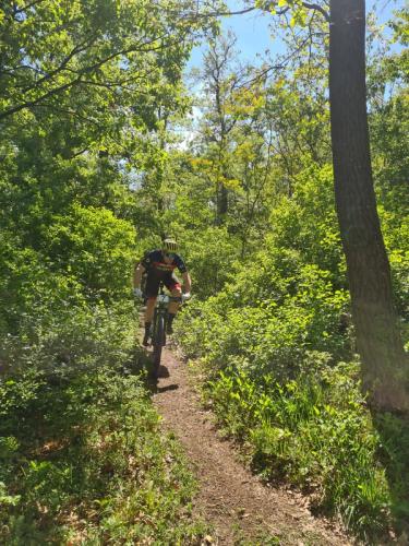 Mountainbike im Mörbisch