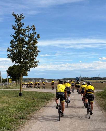 Gruppenfahrt zurück nach Mörbisch