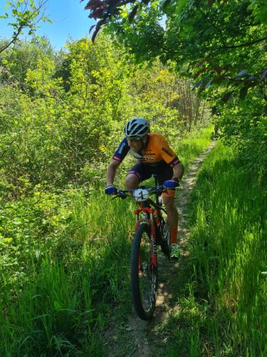 Mountainbike im Mörbisch