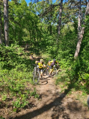 Mountainbike im Mörbisch