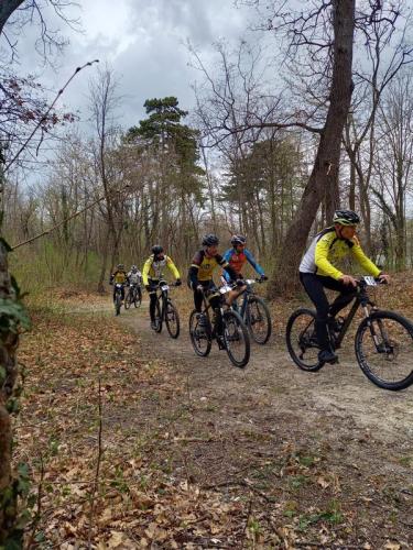 Mountainbike im Maiball