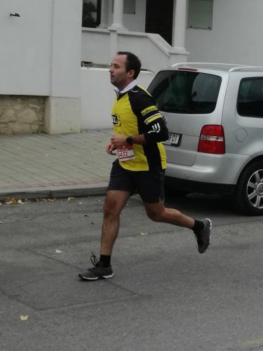 Rote Nasenlauf in Mörbisch